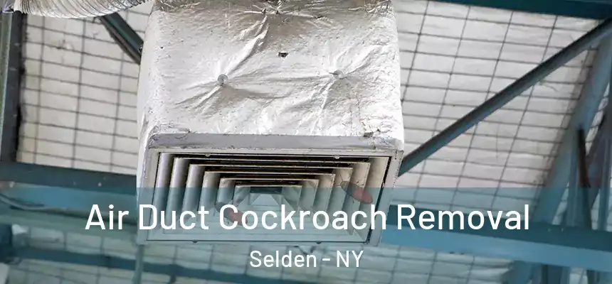 Air Duct Cockroach Removal Selden - NY