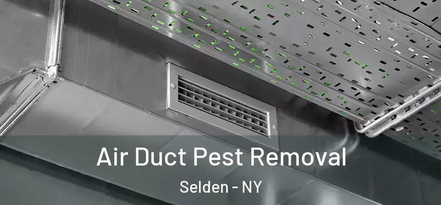 Air Duct Pest Removal Selden - NY