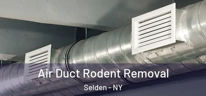 Air Duct Rodent Removal Selden - NY