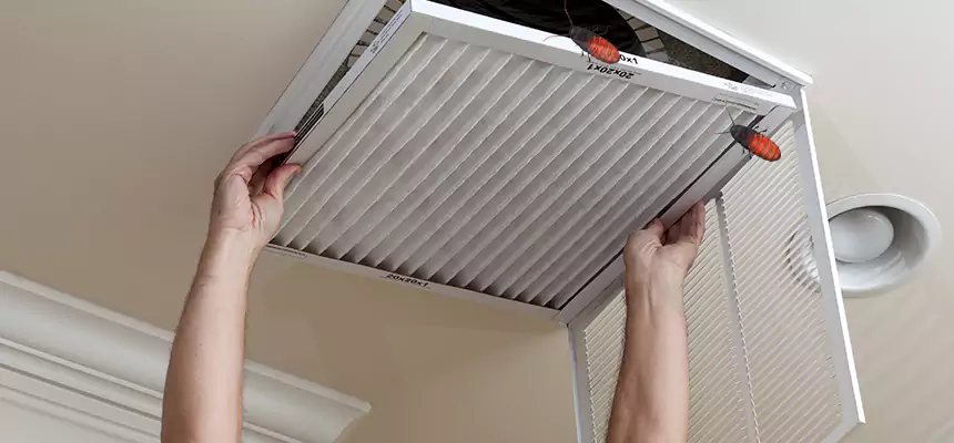 Preventive Cockroach-Proofing for Ducts in Selden