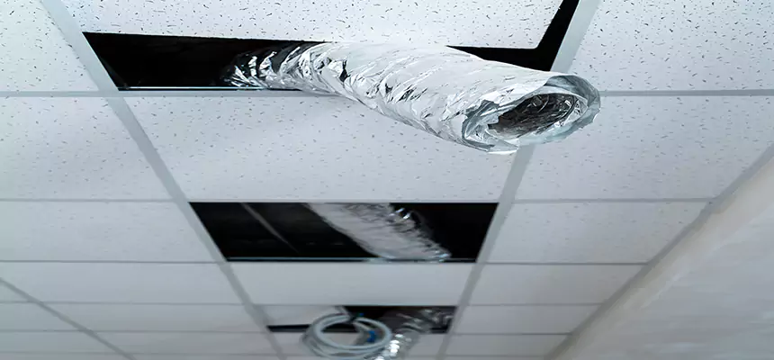 Affordable HVAC Sanitizing After Pest Removal in Selden