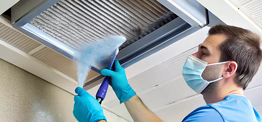 Proactive Dryer Vent & Auxiliary Duct Pollen Cleanup in Selden, NY