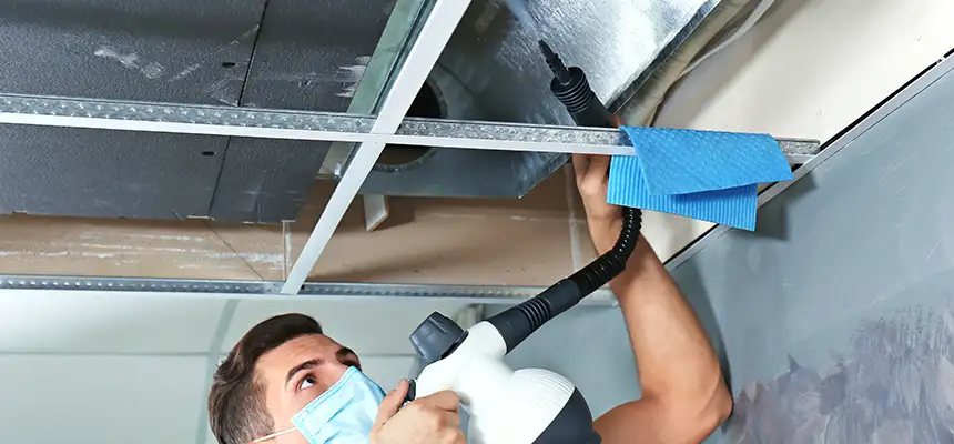 Our Air Duct Rodent Removal Services in Selden, NY