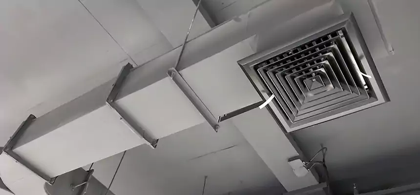 Restorative Allergy Relief Vent Cleaning – Coil, Blower & Housing Detail in Selden