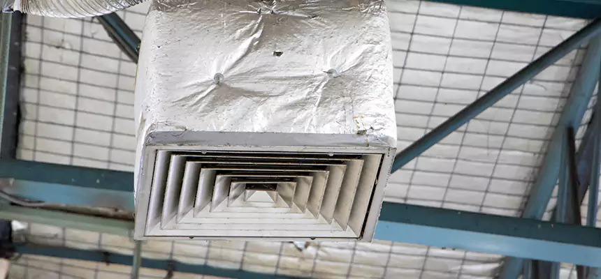 Our HVAC Mold Remediation Service Services in Selden, NY
