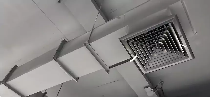 Our Rodent Droppings In Vents Services in Selden, NY