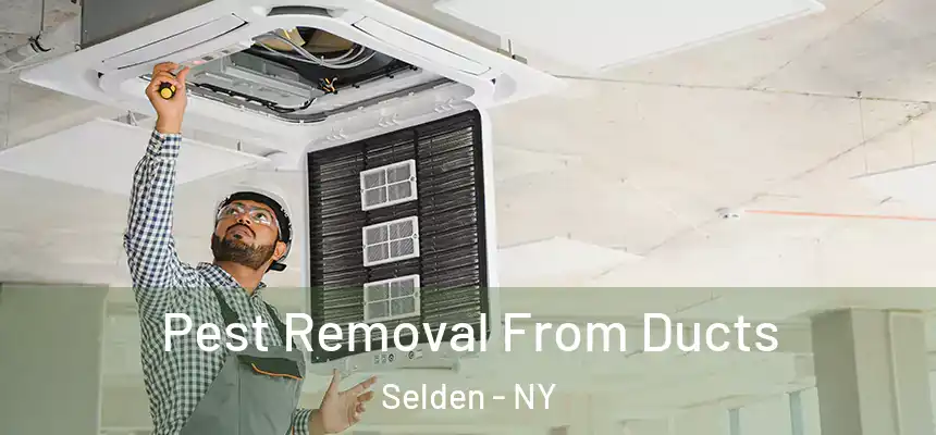 Pest Removal From Ducts Selden - NY