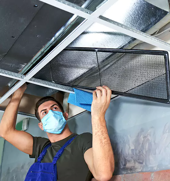 Professional Air Duct Pollen Cleaning in Selden, NY